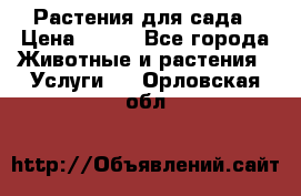 Растения для сада › Цена ­ 200 - Все города Животные и растения » Услуги   . Орловская обл.